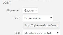exemple-img-interieur-article
