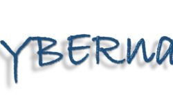 Logo CY