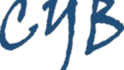 Cyb_icone2